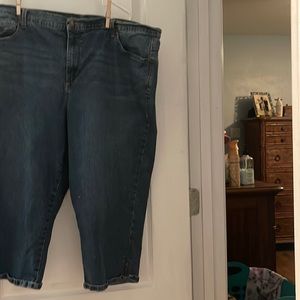 Gloria Vanderbilt Amanda Capri 20W